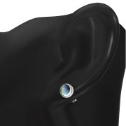 Abalone Oval Earrings - e368